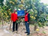 “Trồng cây nhân đạo”- Cách làm mới ở Phú Diễn