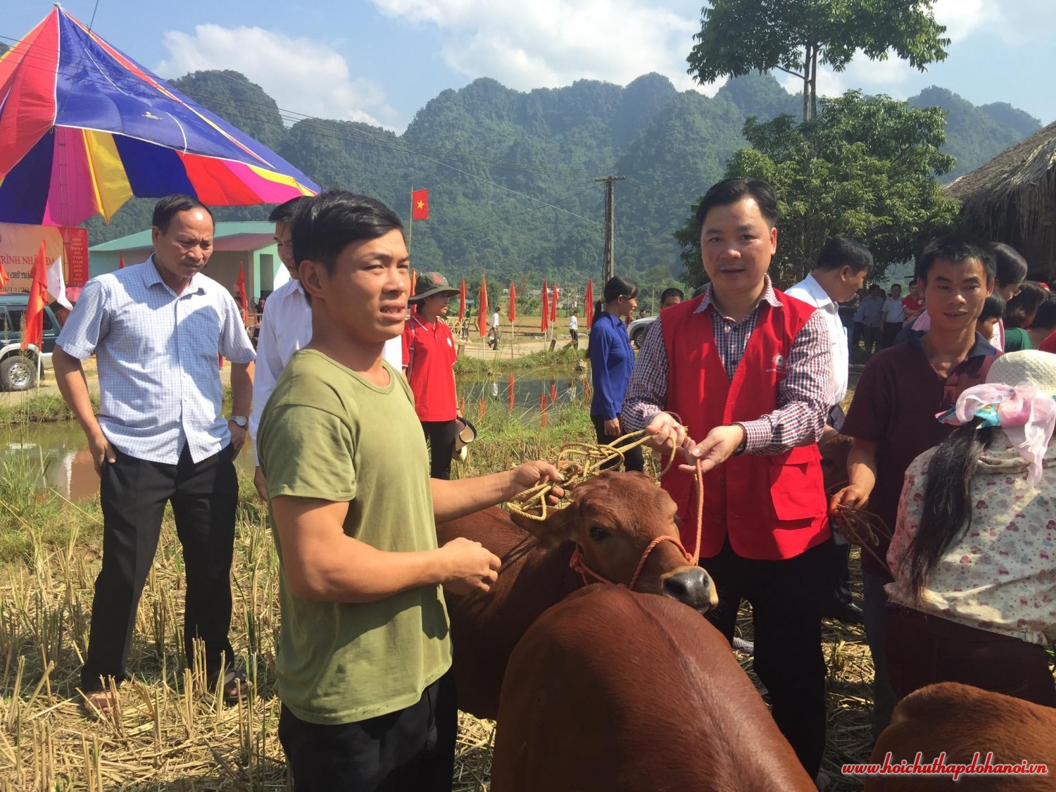 14633350 1795979013978253 206820193297759751 o