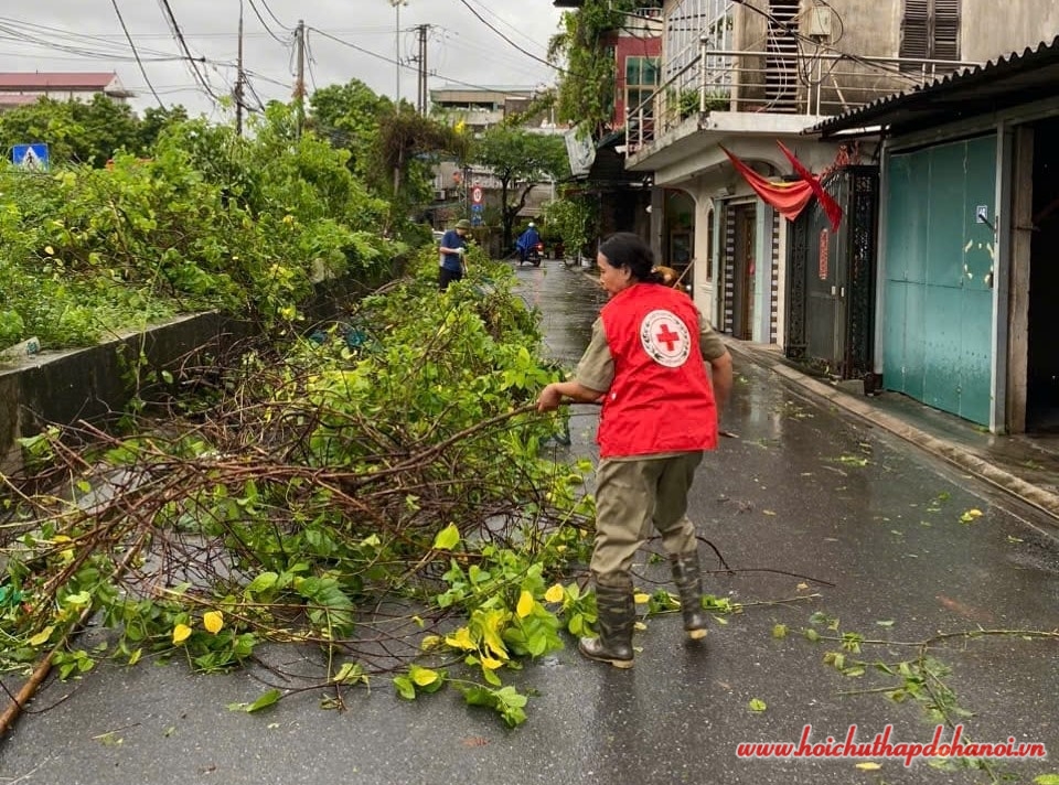 458986061 1070030508210946 6595597065349585748 n