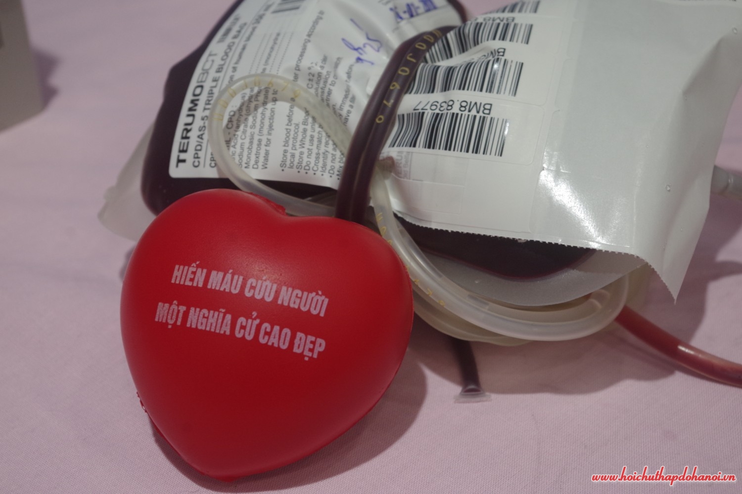 HM ton vinh 14 6