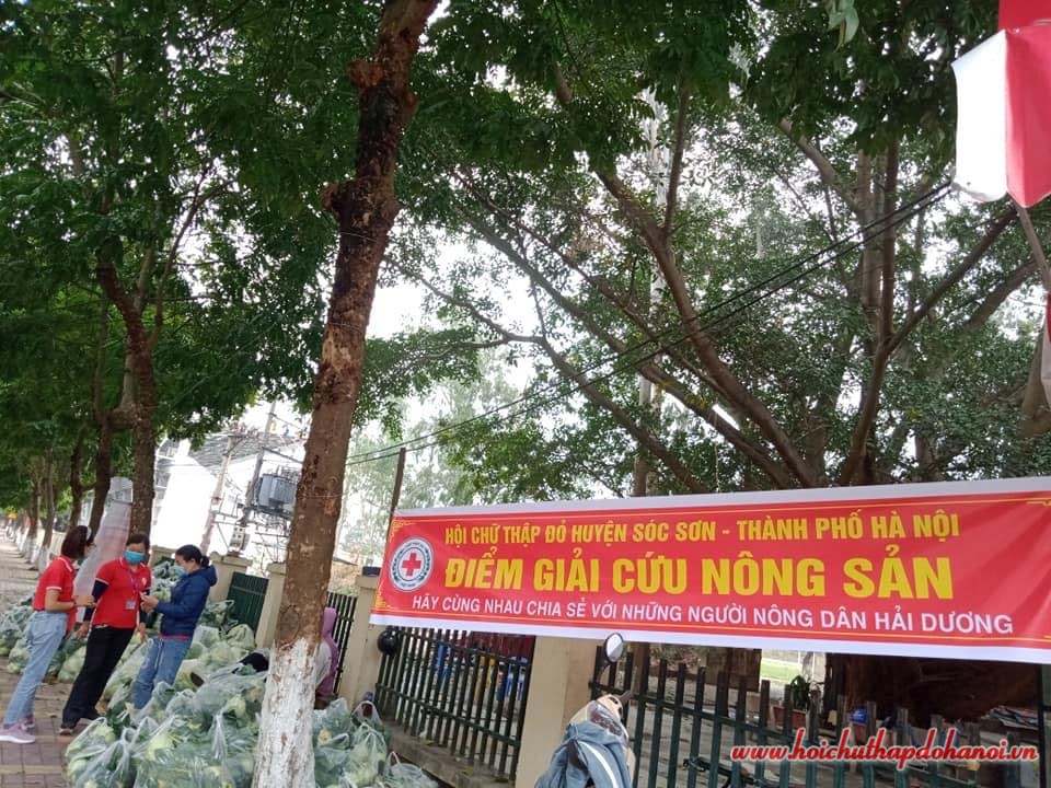 Tiêu thụ nông sản 7