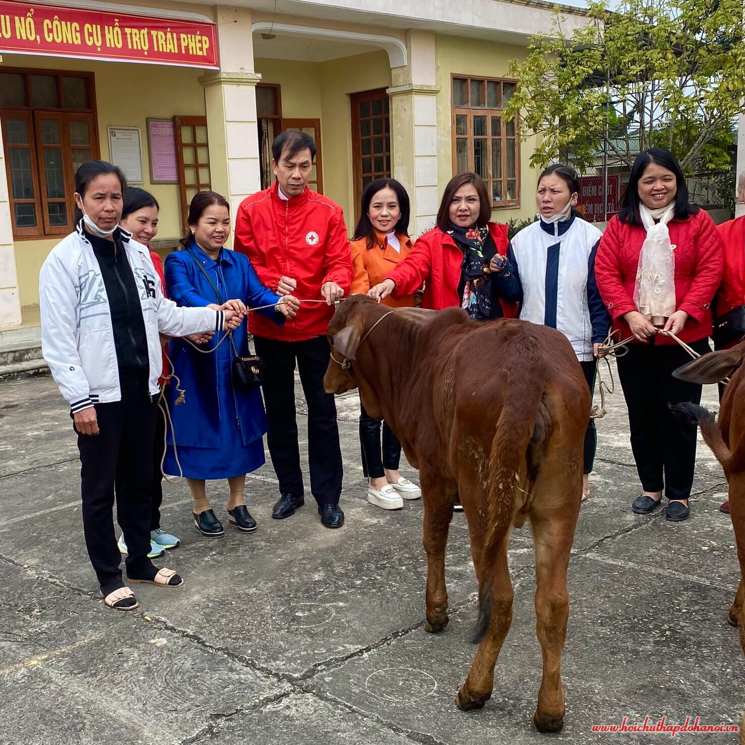 319831062 525164039548000 4903232117451188207 n